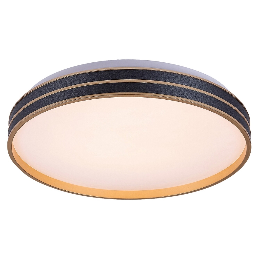 Rabalux - LED Dimbar taklampa LED/24W/230V 3000-6500K + fjärrkontroll