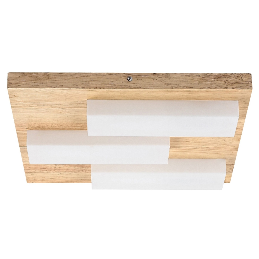 Rabalux - LED taklampa LED/30W/230V 3000K ek
