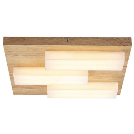 Rabalux - LED taklampa LED/30W/230V 3000K ek