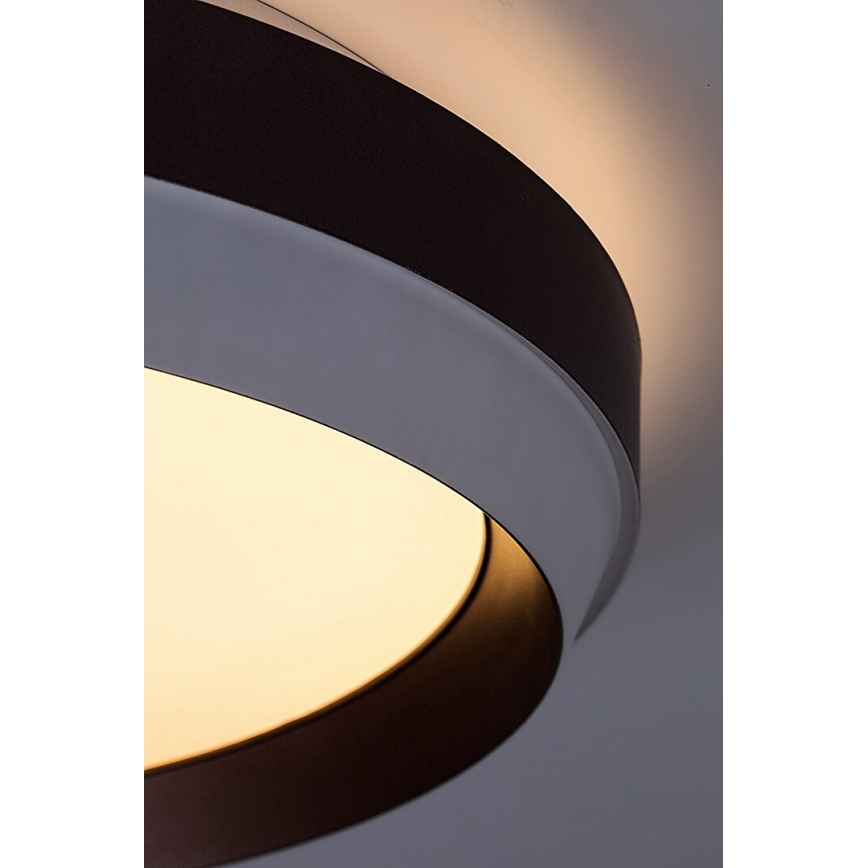 Rabalux - LED taklampa LED/24W/230V 3000K