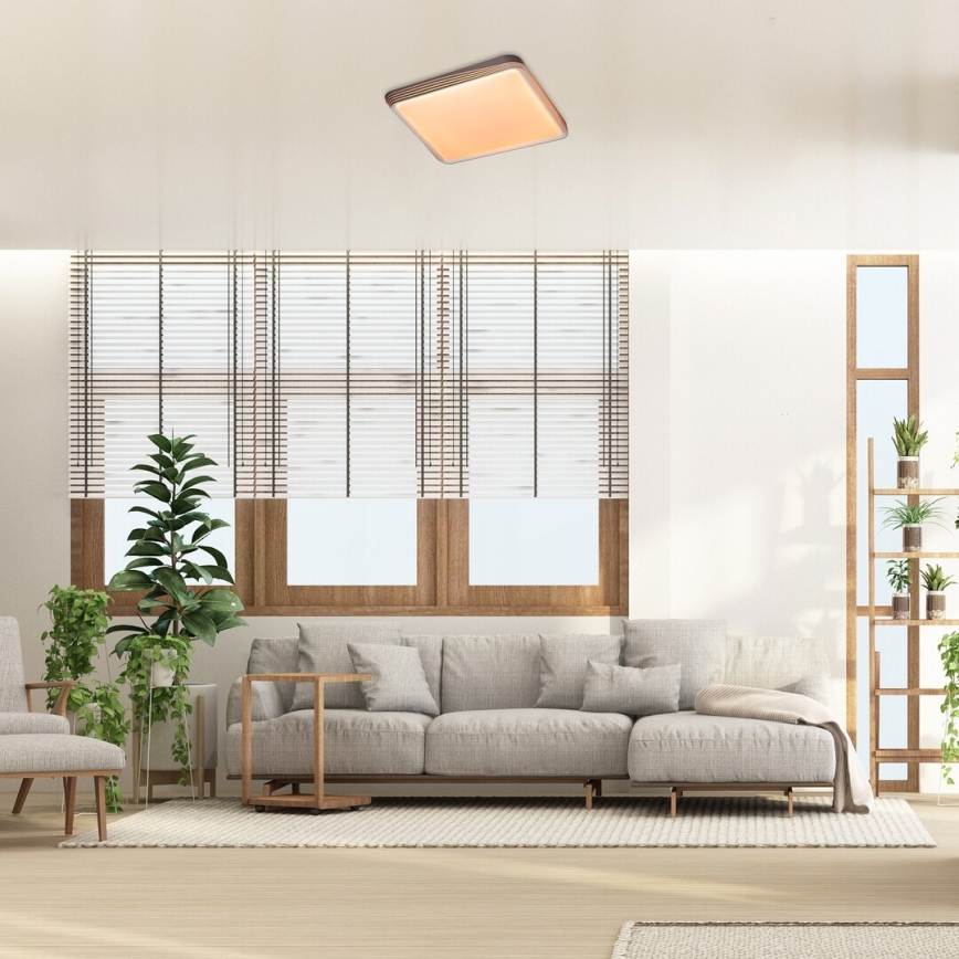 Rabalux - LED taklampa LED/40W/230V 3000K