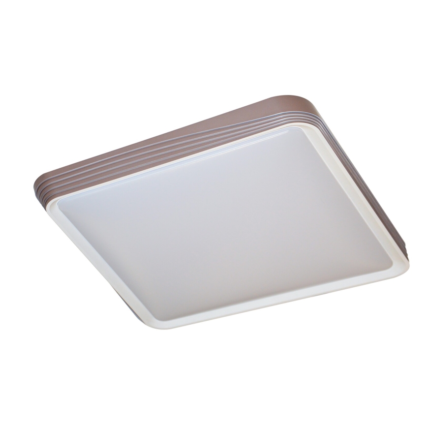 Rabalux - LED taklampa LED/40W/230V 3000K