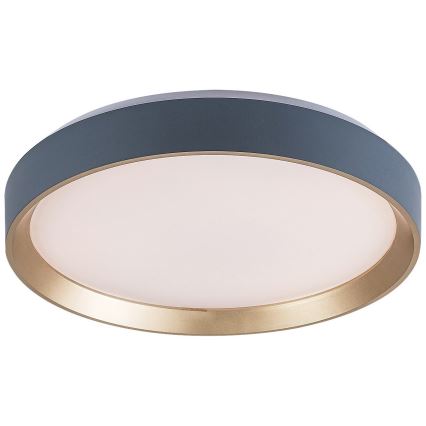 Rabalux - LED taklampa LED/25W/230V 3000K diameter 38 cm