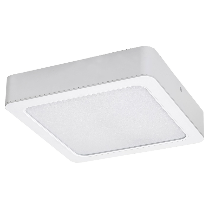 Rabalux - LED taklampa LED/15W/230V 4000K 16x16 cm vit