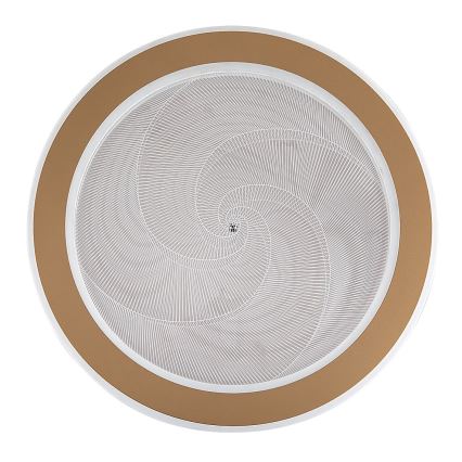 Rabalux - Dimbart LED-taklampa 24W/230V 3000–6500K Ø 40 cm + fjärrkontroll