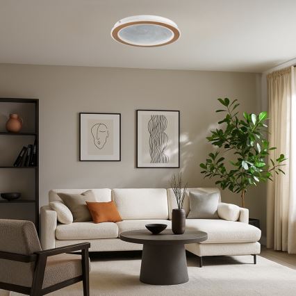 Rabalux - Dimbart LED-takarmatur LED/24W/230V 3000-6500K Ø 40 cm + fjärrkontroll