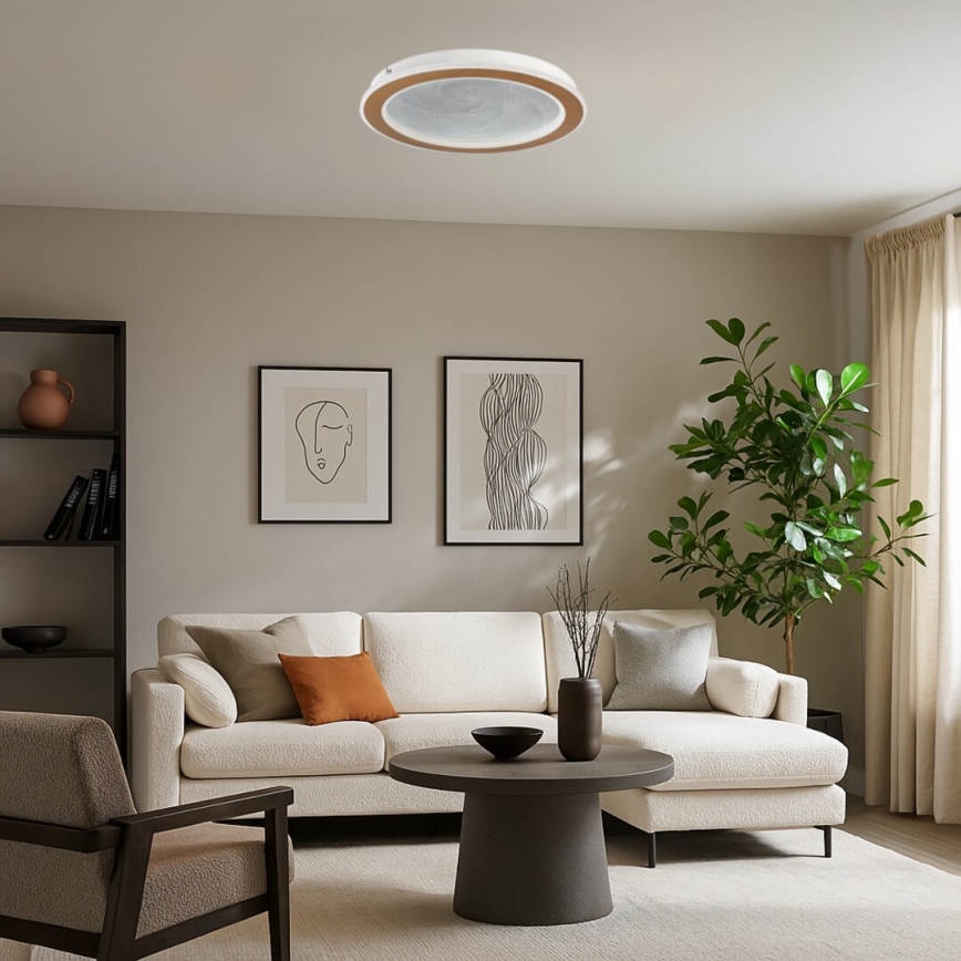 Rabalux - Dimbart LED-takarmatur LED/24W/230V 3000-6500K Ø 40 cm + fjärrkontroll