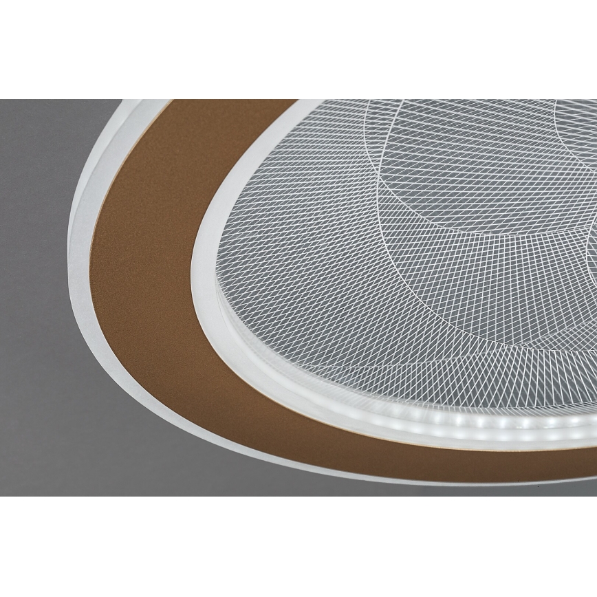 Rabalux - Dimbart LED-takarmatur LED/24W/230V 3000-6500K Ø 40 cm + fjärrkontroll