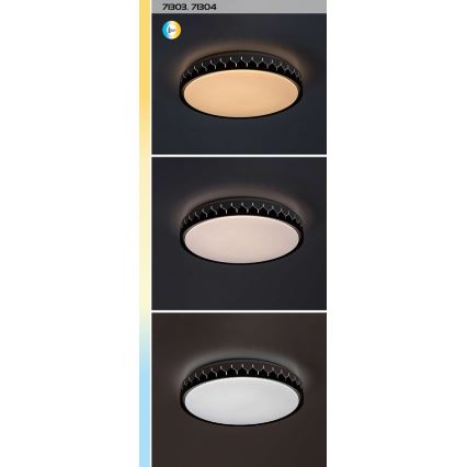Rabalux - LED Dimbar taklampa LED/48W/230V 3000-6500K + fjärrkontroll