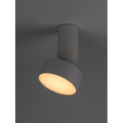 Rabalux - LED taklampa LED/10W/230V 3000K vit