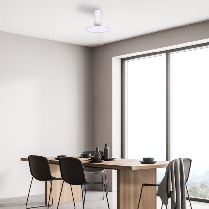 Rabalux - LED taklampa LED/20W/230V 3000K vit