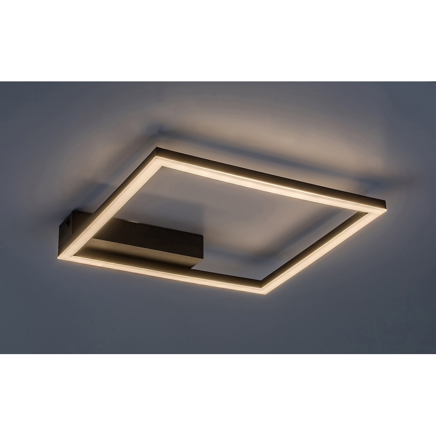Rabalux - LED taklampa LED/24W/230V 3000K