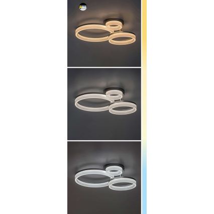 Rabalux - LED taklampa LED/24W/230V 3000/4000/6500K guld