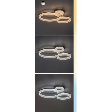 Rabalux - LED taklampa LED/24W/230V 3000/4000/6500K svart