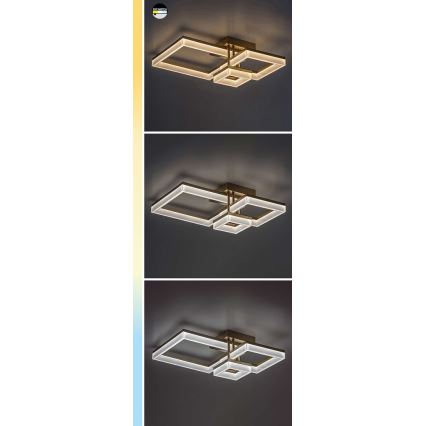 Rabalux - LED taklampa LED/22W/230V 3000/4000/6500K svart