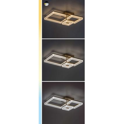 Rabalux - LED taklampa LED/22W/230V 3000/4000/6500K matt krom
