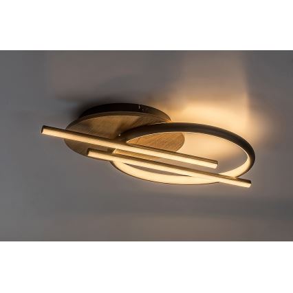Rabalux - LED taklampa LED/40W/230V 3000/4000/6500K