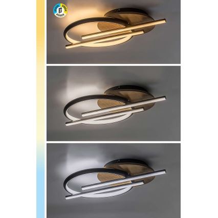 Rabalux - LED taklampa LED/40W/230V 3000/4000/6500K
