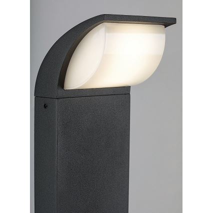 Rabalux - LED-lampa för utomhusbruk LED/9W/230V IP65
