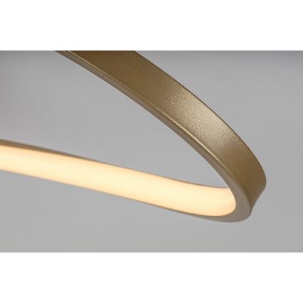 Rabalux - LED taklampa LED/30W/230V 3000K