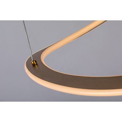 Rabalux - LED-pendel på kabel LED/40W/230V 3000K