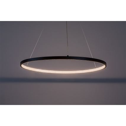 Rabalux - vajerupphängd LED-pendel LED/55W/230V 3000K