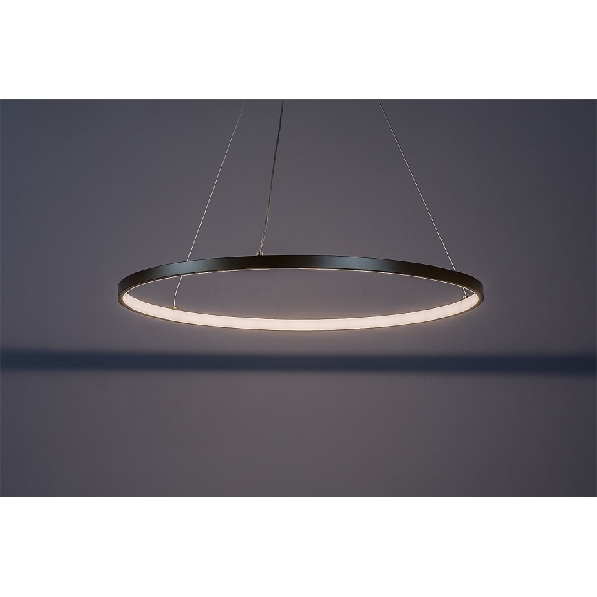 Rabalux - LED-pendel på vajer LED/55W/230V 3000K