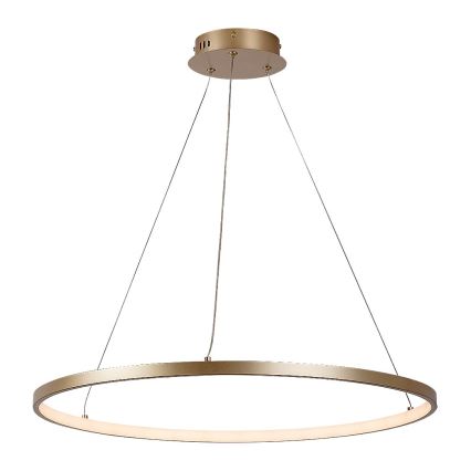 Rabalux - LED-pendel på vajer LED/55W/230V 3000K