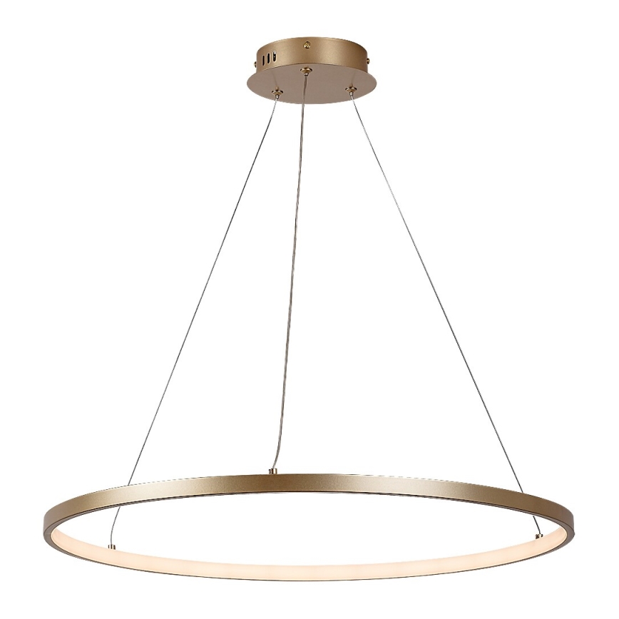 Rabalux - LED-pendel på vajer LED/55W/230V 3000K