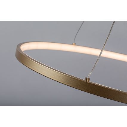 Rabalux - LED-pendel på vajer LED/55W/230V 3000K