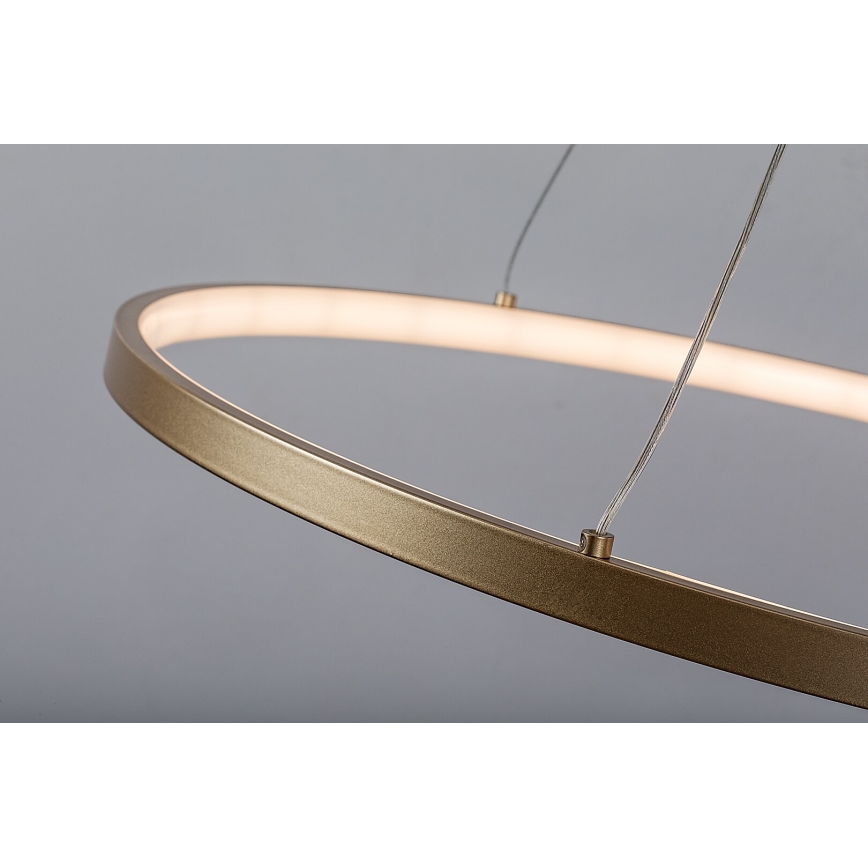 Rabalux - LED-pendel på vajer LED/55W/230V 3000K