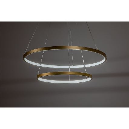 Rabalux - LED-dimbar pendellampa på vajer LED/75W/230V 3000–6500K + fjärrkontroll