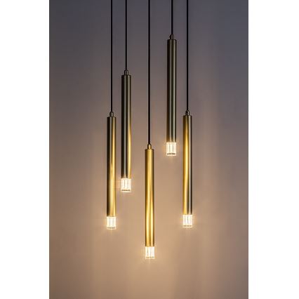Rabalux - Ljuskrona med textilsladd 5xG9/5W/230V guld