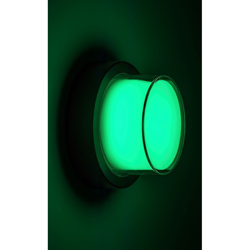 Rabalux - LED RGBW Dimbar vägglampa utomhus LED/10W/230V IP54 Wi-Fi Tuya