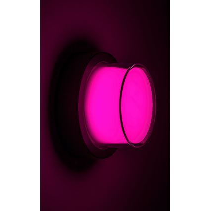 Rabalux - LED RGBW Dimbar vägglampa utomhus LED/10W/230V IP54 Wi-Fi Tuya