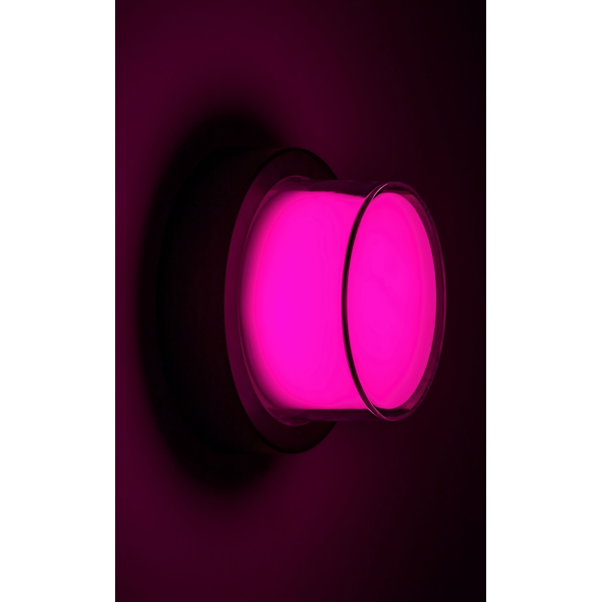 Rabalux - LED RGBW Dimbar vägglampa utomhus LED/10W/230V IP54 Wi-Fi Tuya