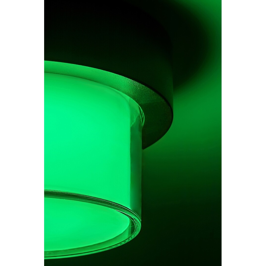 Rabalux - LED RGBW Dimbar vägglampa utomhus LED/10W/230V IP54 Wi-Fi Tuya