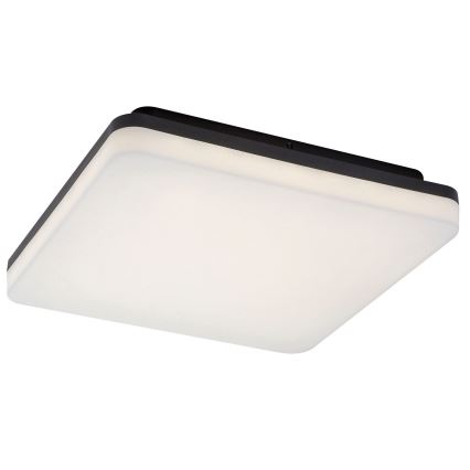 Rabalux - LED taklampa för badrum LED/24W/230V IP54