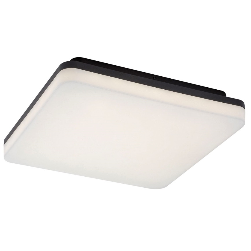 Rabalux - LED taklampa för badrum LED/24W/230V IP54