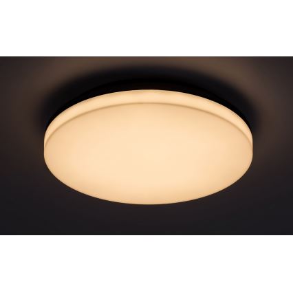 Rabalux - LED taklampa för badrum LED/24W/230V IP54