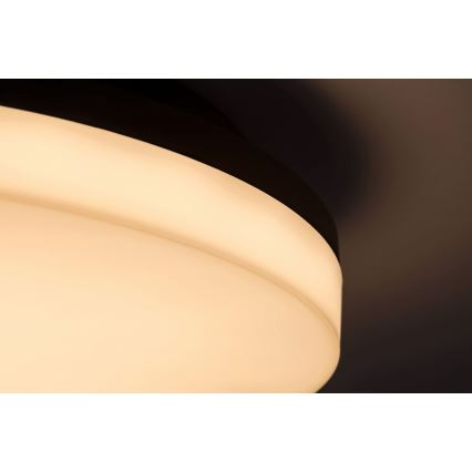 Rabalux - LED taklampa för badrum LED/24W/230V IP54