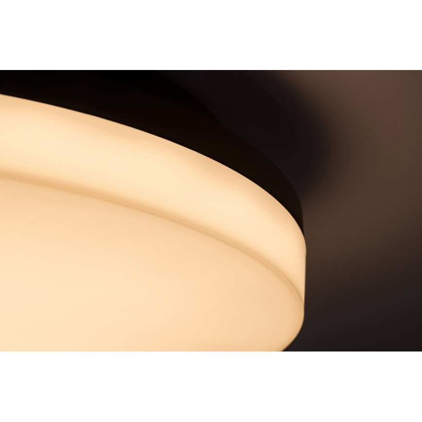 Rabalux - LED taklampa för badrum LED/24W/230V IP54