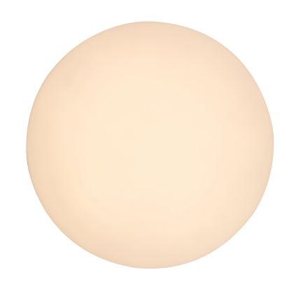 Rabalux - LED taklampa för badrum LED/24W/230V IP54
