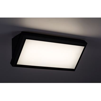 Rabalux - LED vägglampa för utomhusbruk LED/12W/230V IP54