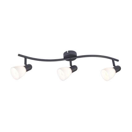 Rabalux - Spotlampa 3x E14/40W/230V