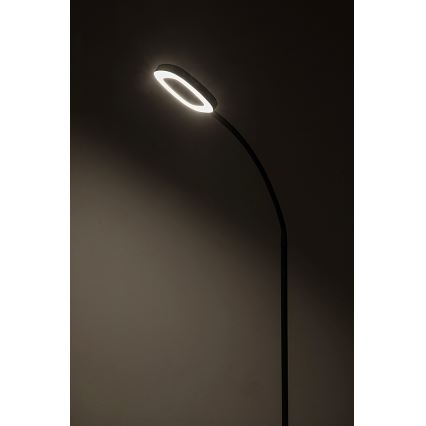 Rabalux - LED Ljusreglerad beröring golvlampa LED/11W/230V 3000K