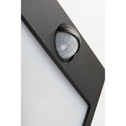 Rabalux - LED Utomhus väggbelysning med sensor LED/12W/230V black IP44