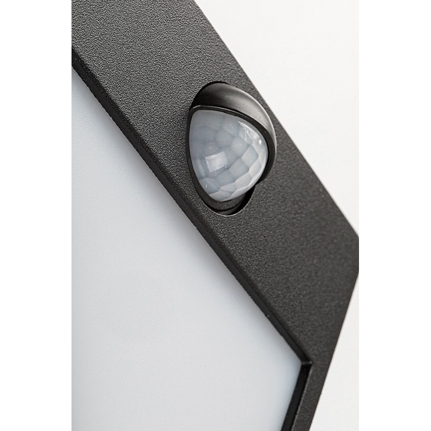 Rabalux - LED Utomhus väggbelysning med sensor LED/12W/230V black IP44