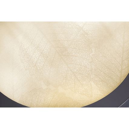 Rabalux - Badrumsplafond 2xE27/40W/230V IP44 Ø 30 cm