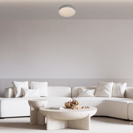 Rabalux - LED taklampa LED/18W/230V IP44 4000K silver diameter 28 cm